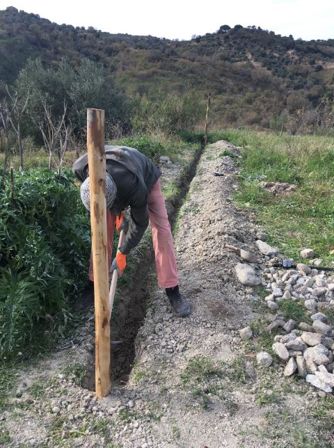 Ground turned over by wild boars