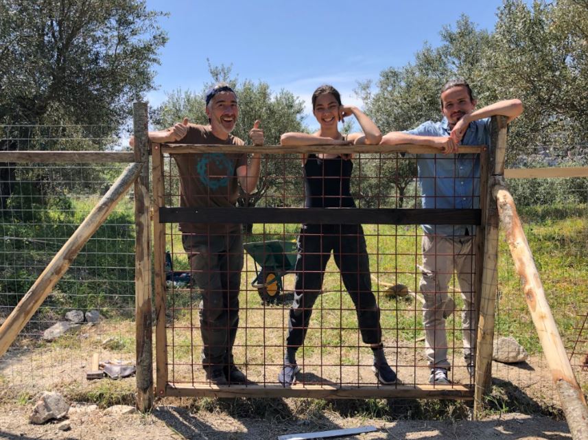 The vegetable garden – our first big project
