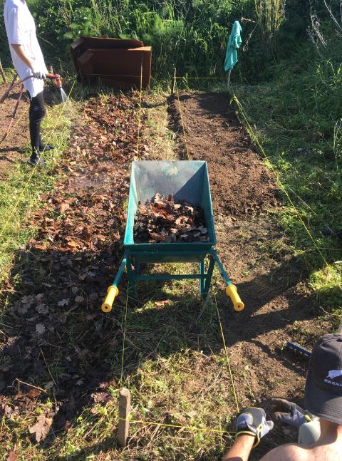 Loosening the compacted soil with digging forks