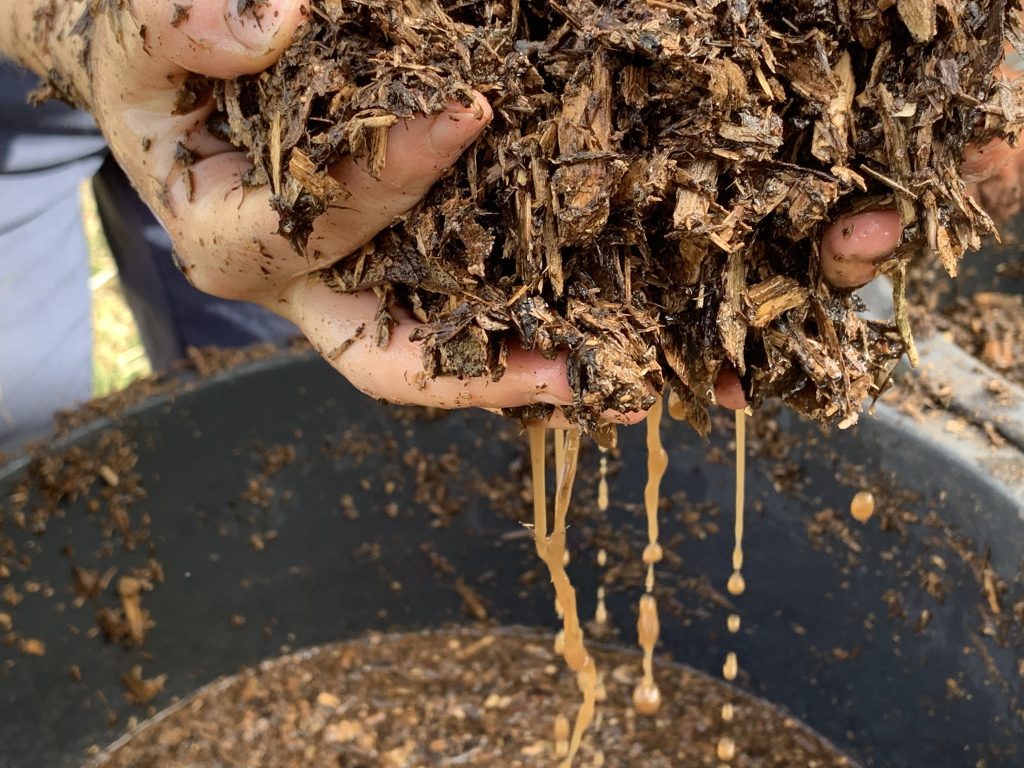 What If Health Began in the Soil?