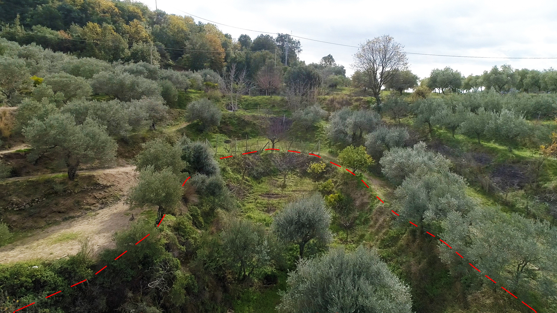 The food forest area marked with a red dotted line
