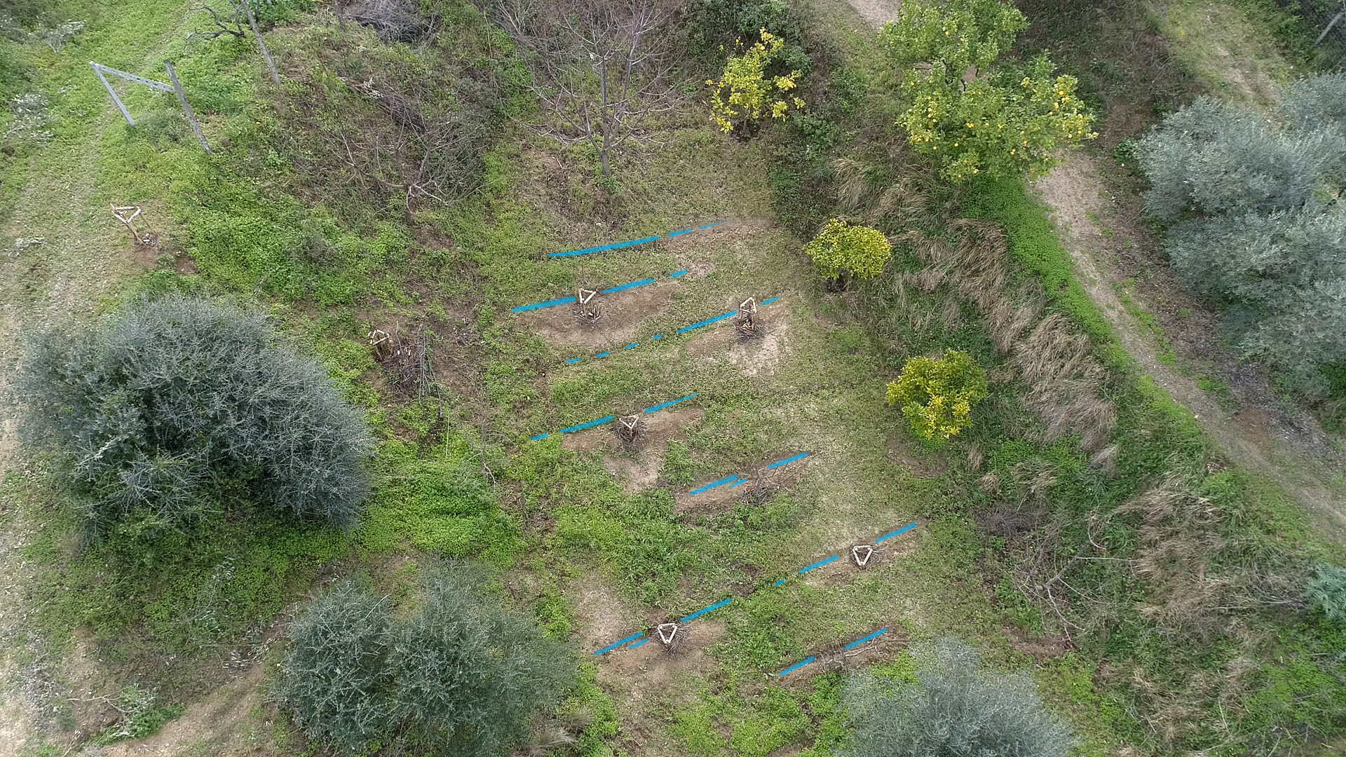 Aerial view of the food forest area with water collection in swales marked in blue