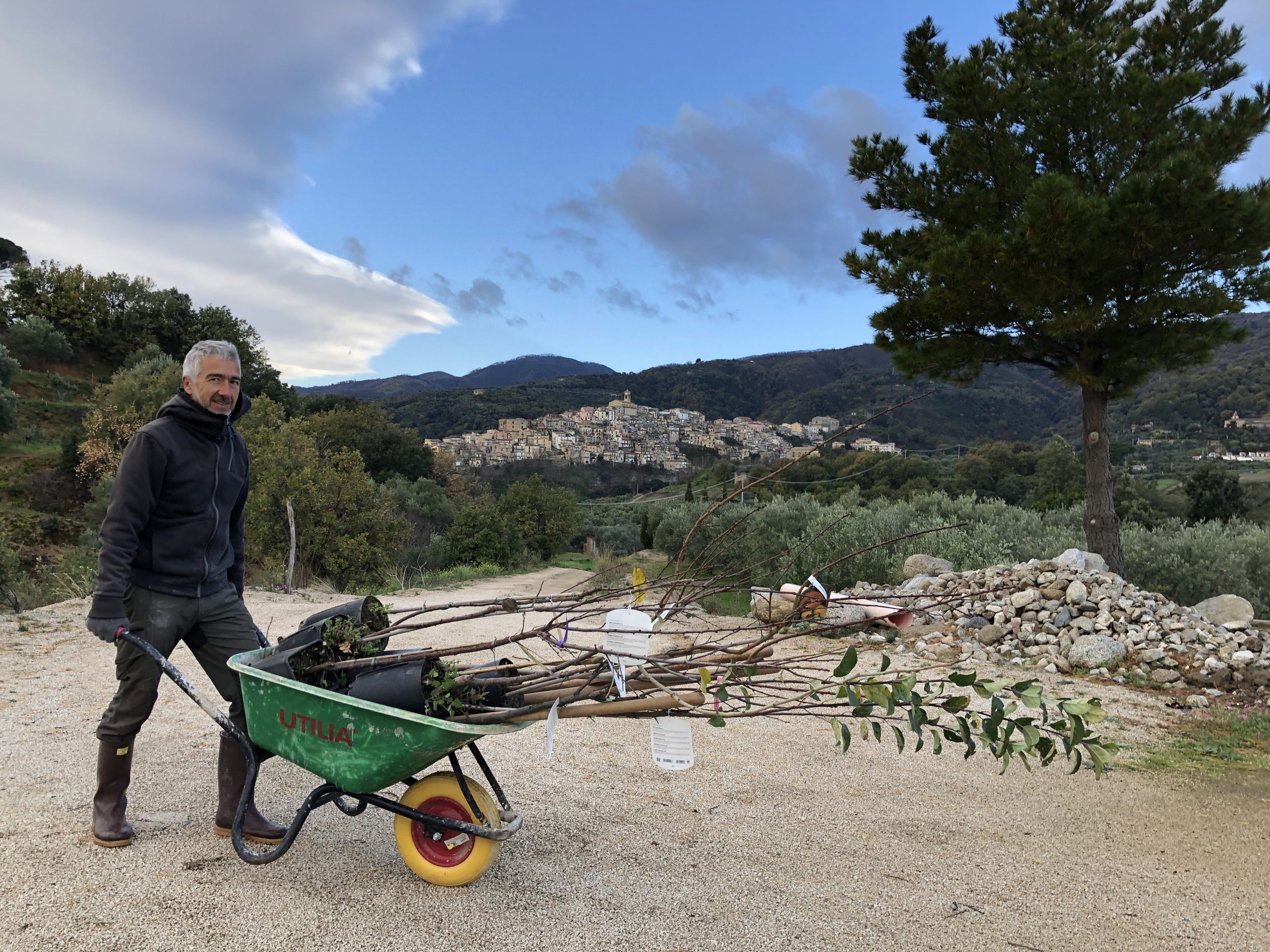 New trees for the future food forest