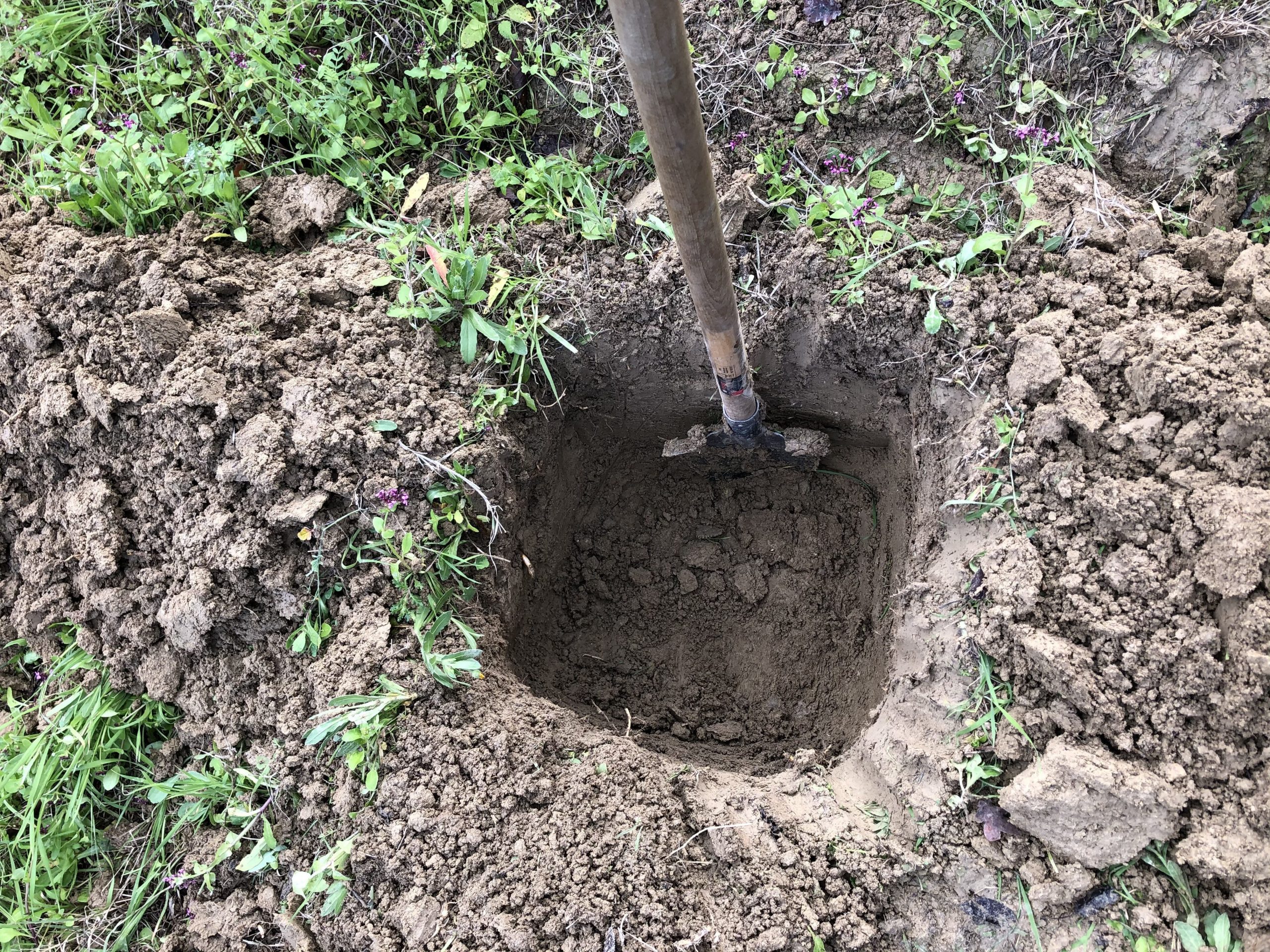 A planting hole