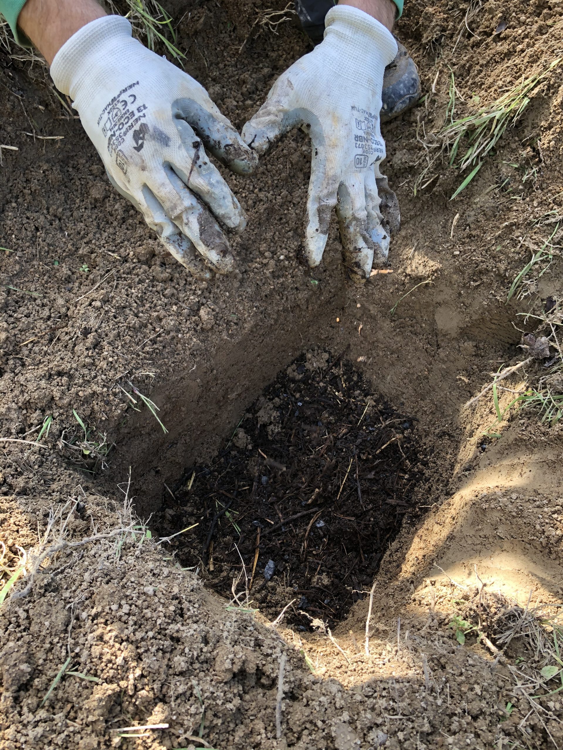 Adding a rich mix of seasoned compost and topsoil to the planting hole